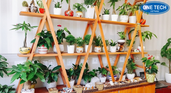 Kệ trưng bày cây cảnh sắt đa tầng Mẫu kệ trưng bày cây cảnh bằng sắt đa tầng sơn tĩnh điện